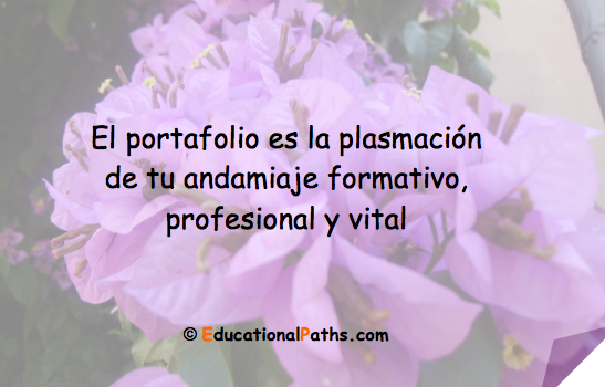 Portafolio